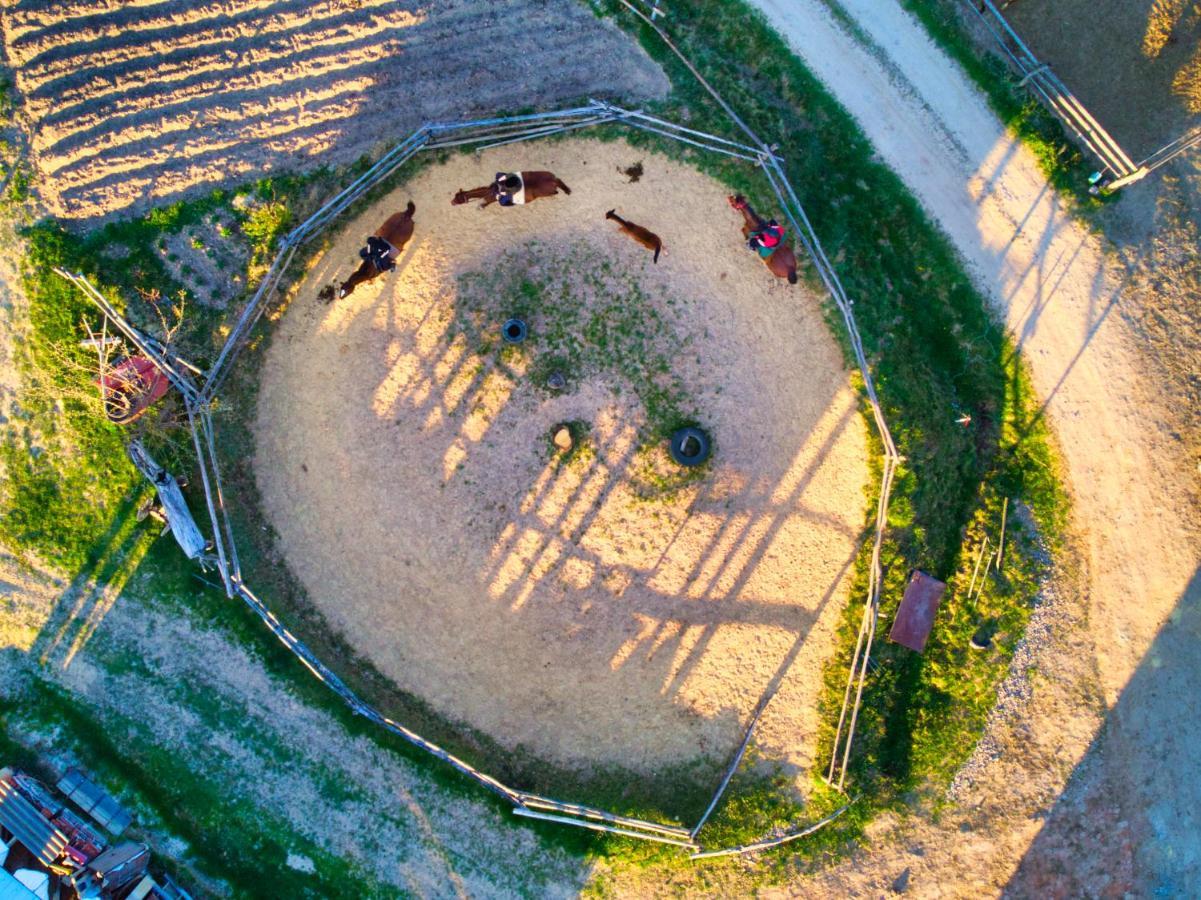 Gospodarstwo Agroturystyczne "Paryja" Olpiny Bagian luar foto